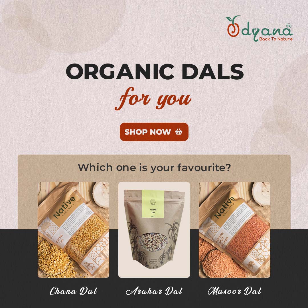 Odyana social media design by Himanshu Narwaria