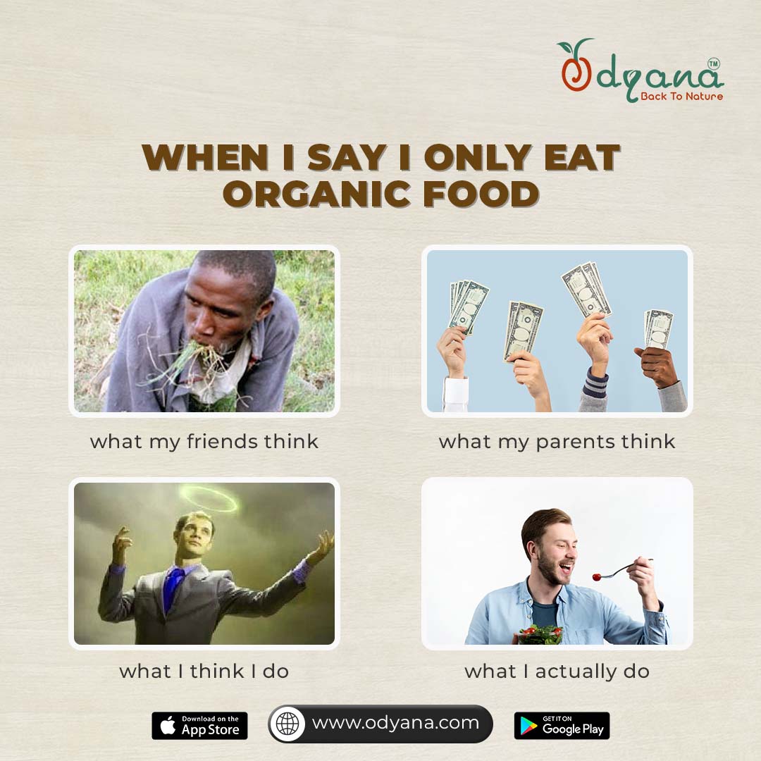 Odyana social media design by Himanshu Narwaria